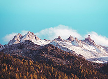 今日十佳球！湖人不错，占了两....